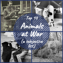 4 images of animals who went to war
