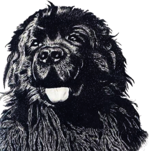 Gander – Le chien de la Force C